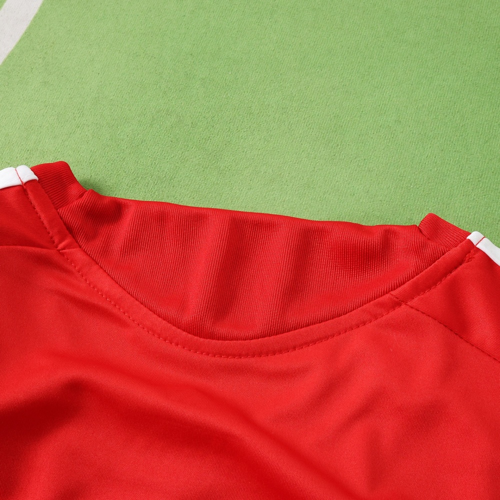 2026 FIFA World Cup Germany Training shirt Fan version