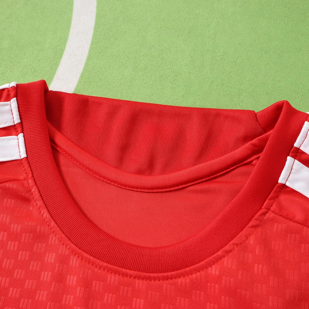 2026 FIFA World Cup Germany Training shirt Fan version