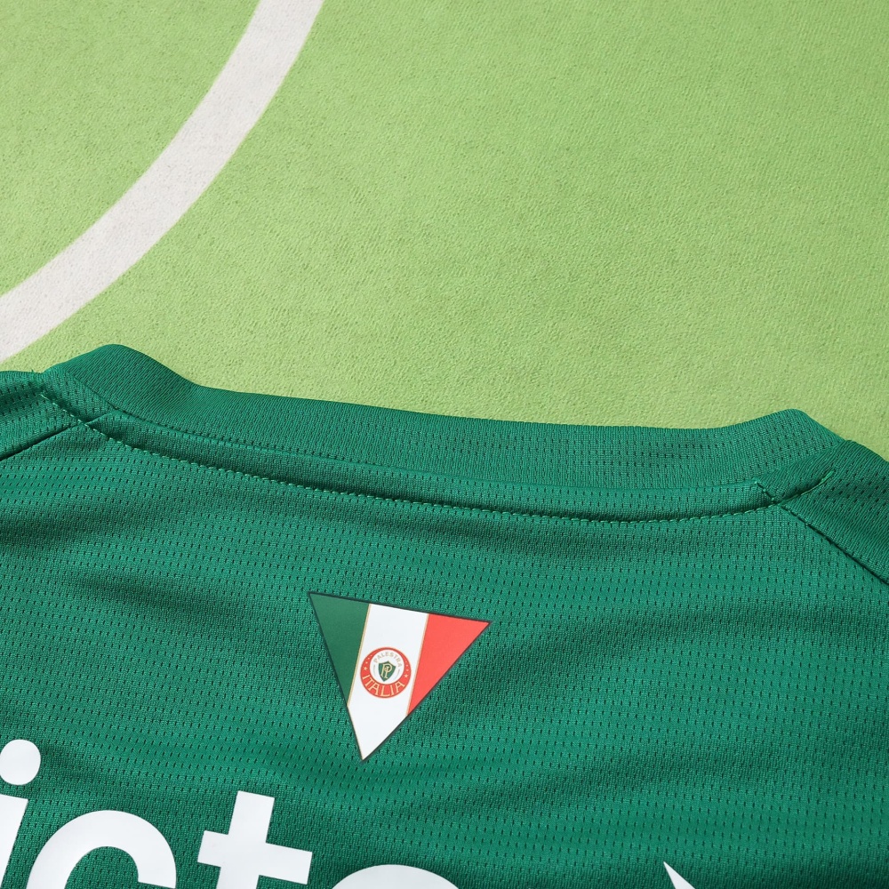 2627 season Sociedade Esportiva Palmeiras home Fan version