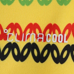 2026 FIFA World Cup Jamaica away Fan version