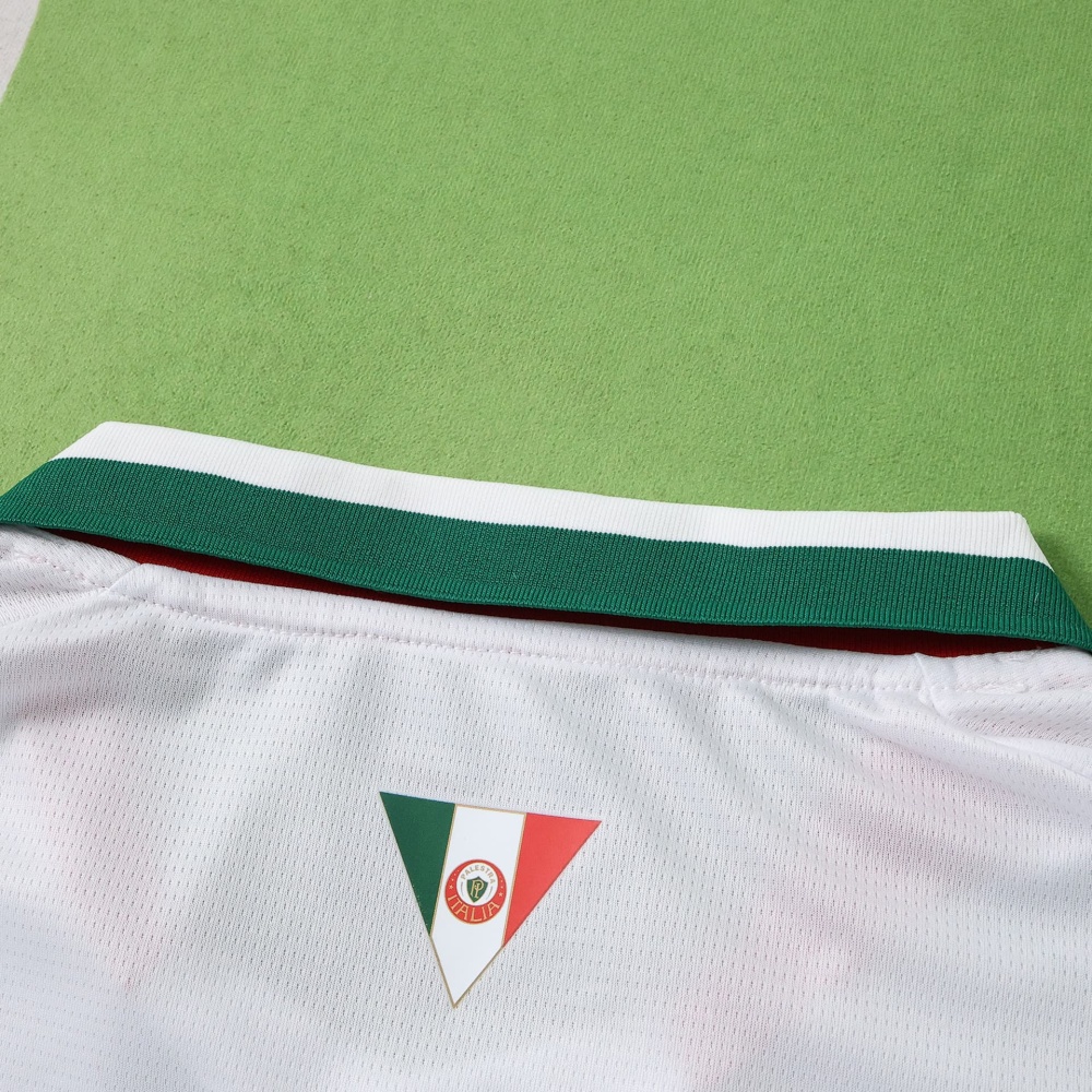 2627 season Sociedade Esportiva Palmeiras away  Fan version