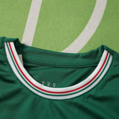 2627 season Sociedade Esportiva Palmeiras home Kids kit