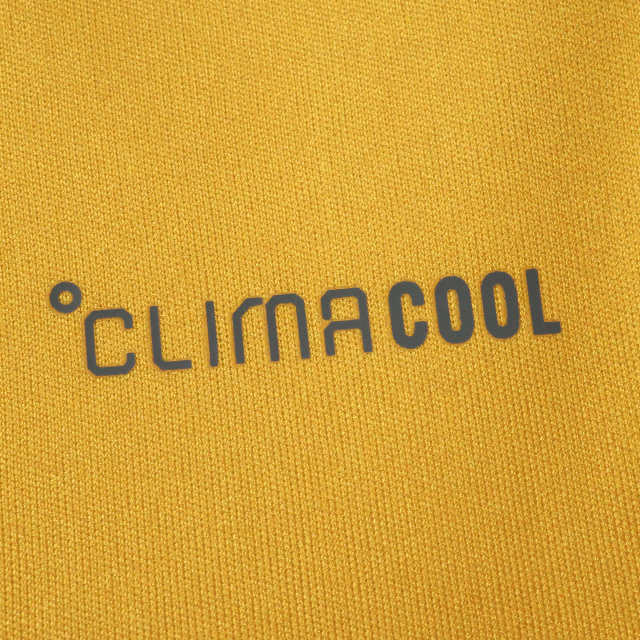 2026 FIFA World Cup Jamaica Training shirt Fan version