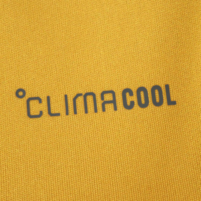 2026 FIFA World Cup Jamaica Training shirt Fan version