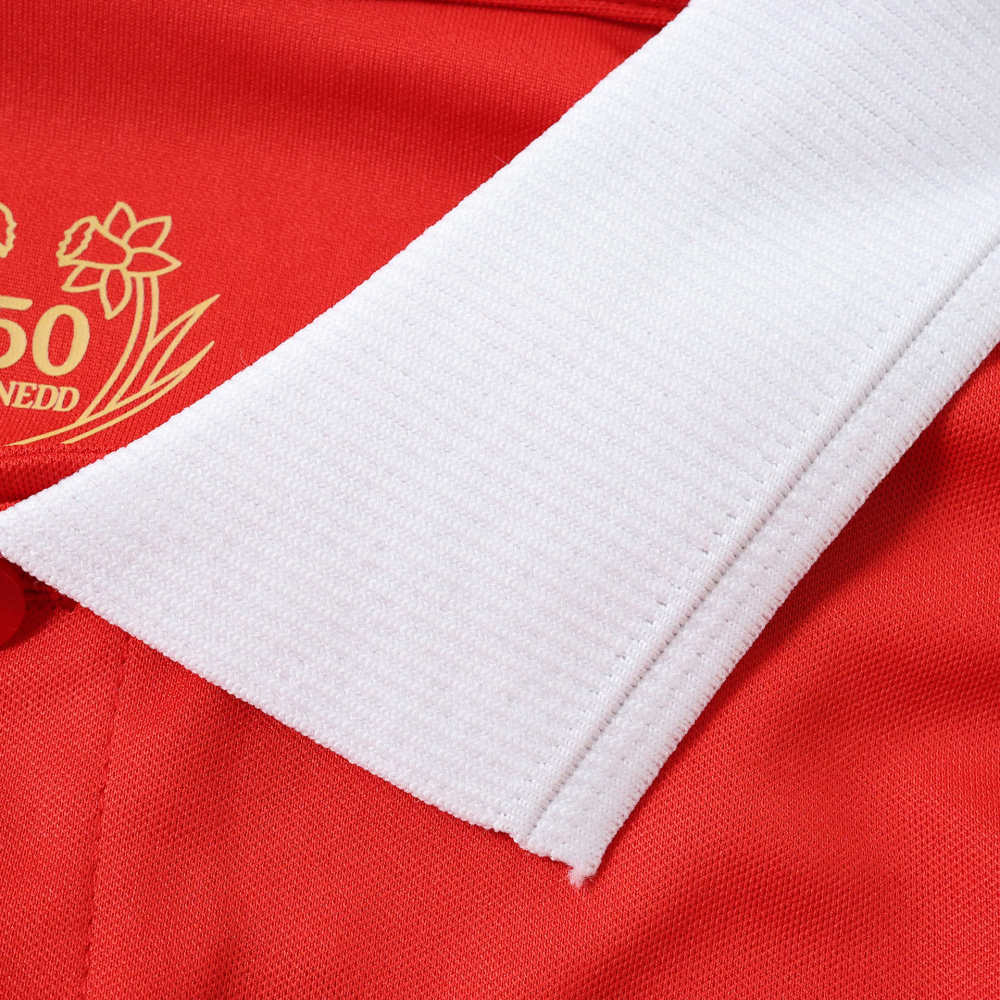 150th anniversary Wales Long sleeved Fan version