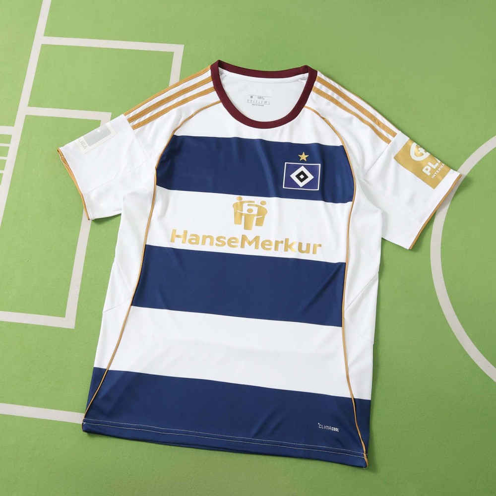 2627 season  Hamburger SV  Concept version Fan version