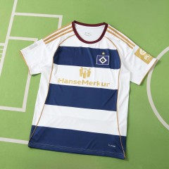 2627 season  Hamburger SV  Concept version Fan version