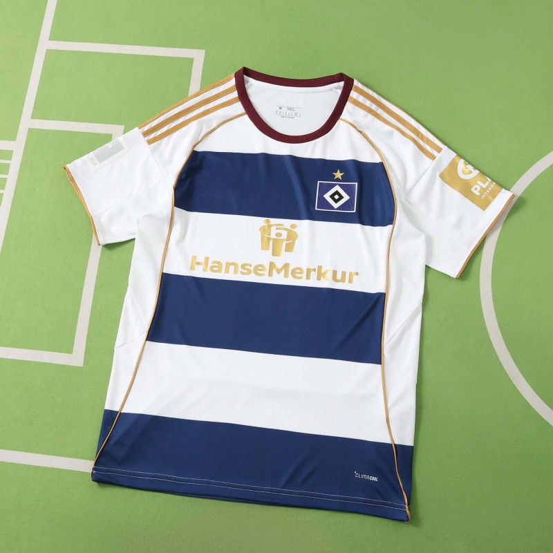 2627 season  Hamburger SV  Concept version Fan version