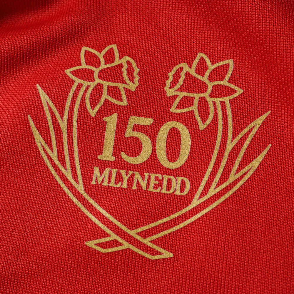 150th anniversary Wales Long sleeved Fan version
