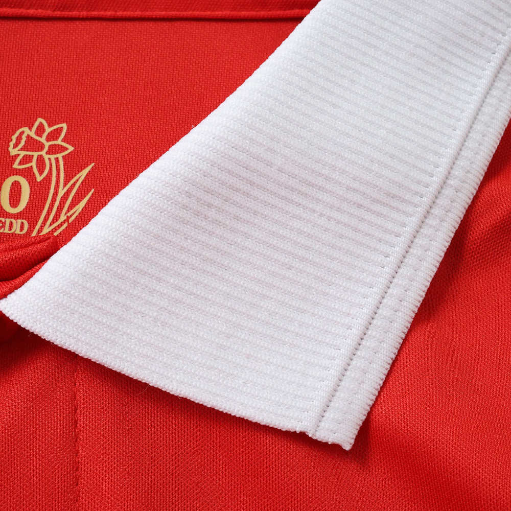 150th anniversary Wales  Fan version