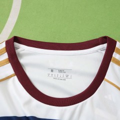 2627 season  Hamburger SV  Concept version Fan version