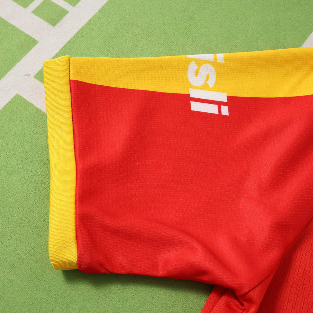 2627 season Galatasaray S.K. Concept version Fan version