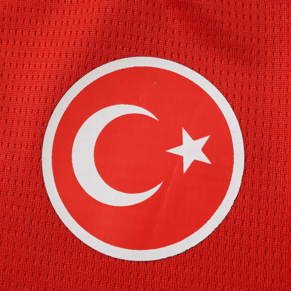 2627 season Galatasaray S.K. Concept version Fan version