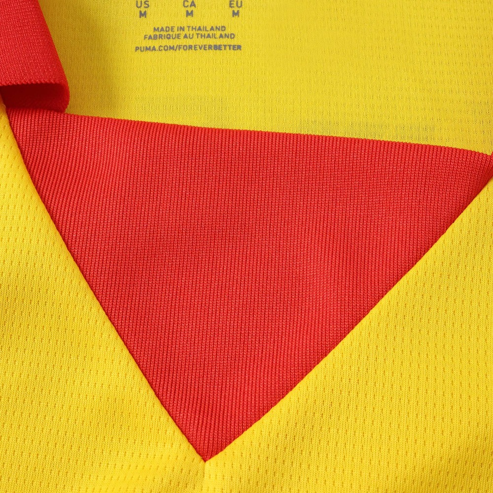 2627 season Galatasaray S.K. Concept version Fan version