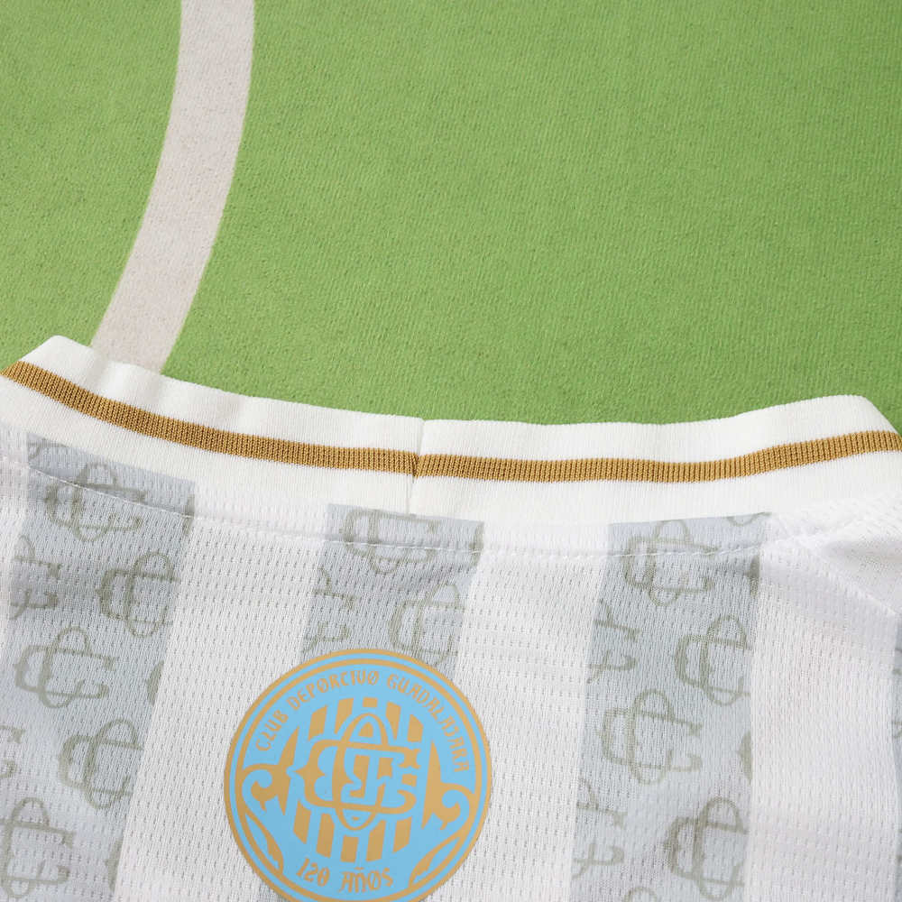 2627 season Chivas Guadalajara Concept version  Fan version