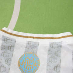 2627 season Chivas Guadalajara Concept version  Fan version