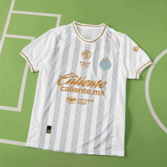 2627 season Chivas Guadalajara Concept version  Fan version
