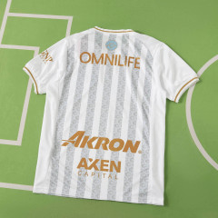 2627 season Chivas Guadalajara Concept version  Fan version