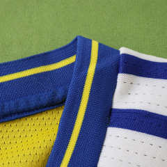 2026 FIFA World Cup Sweden home Player version