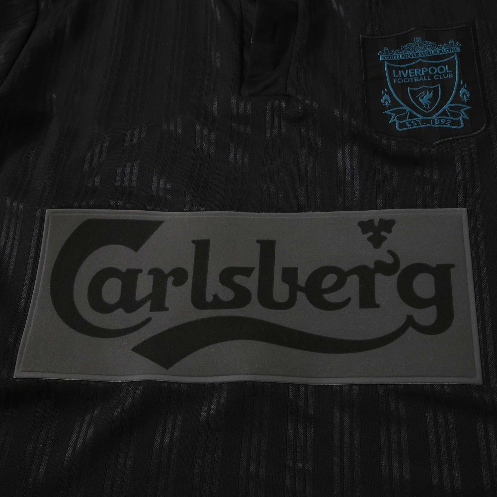 1995 season Liverpool F.C. Concept version Fan version