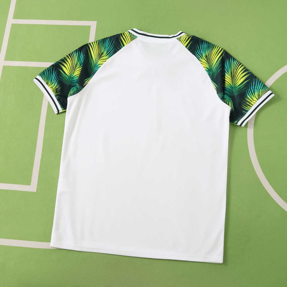 2026 FIFA World Cup Brazil Concept version Fan version