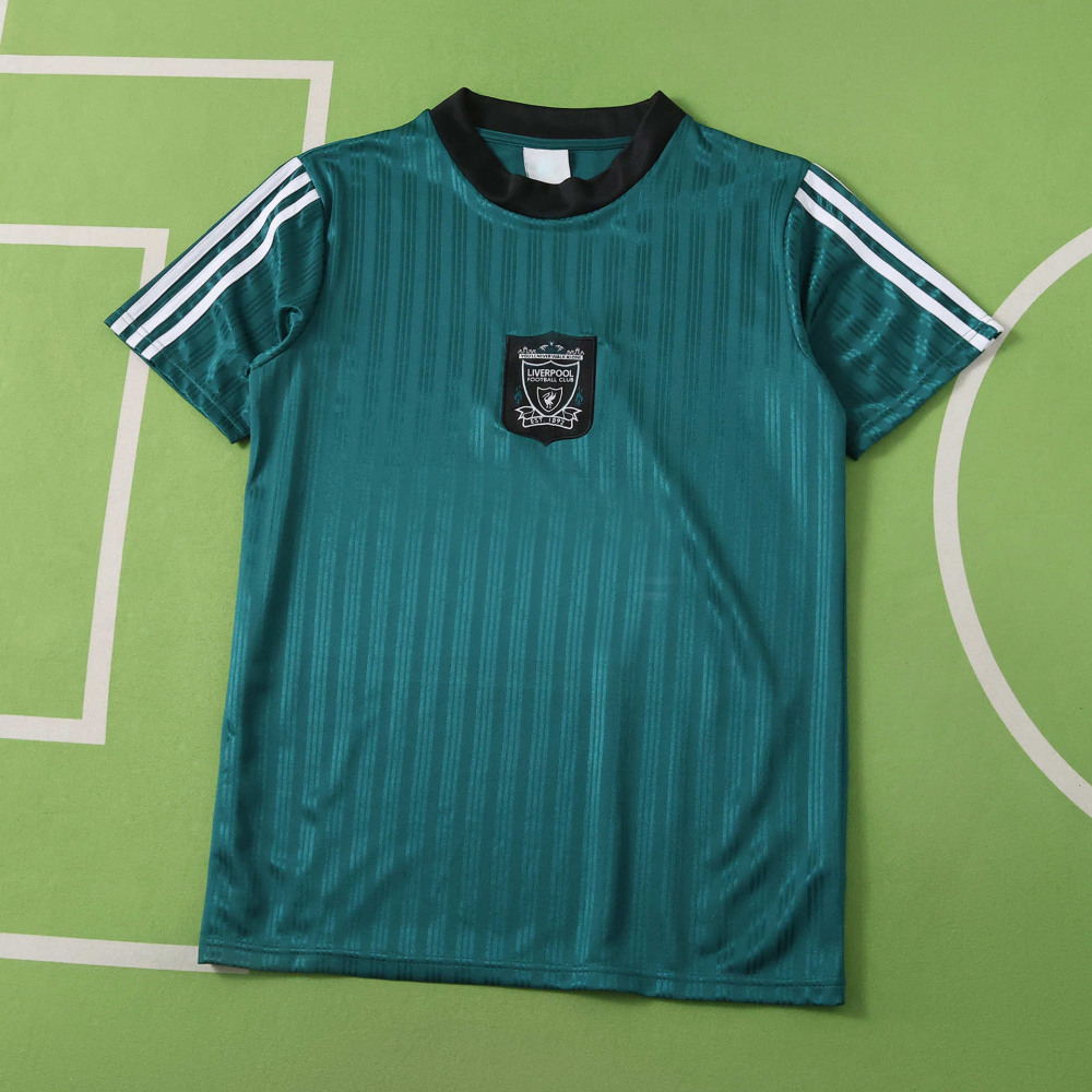 1995 season Liverpool F.C. Concept version Fan version