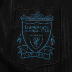 1995 season Liverpool F.C. Concept version Fan version