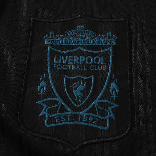 1995 season Liverpool F.C. Concept version Fan version