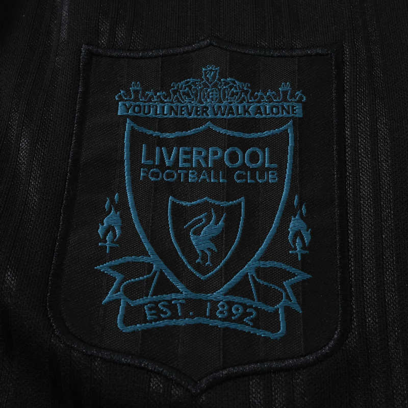 1995 season Liverpool F.C. Concept version Fan version