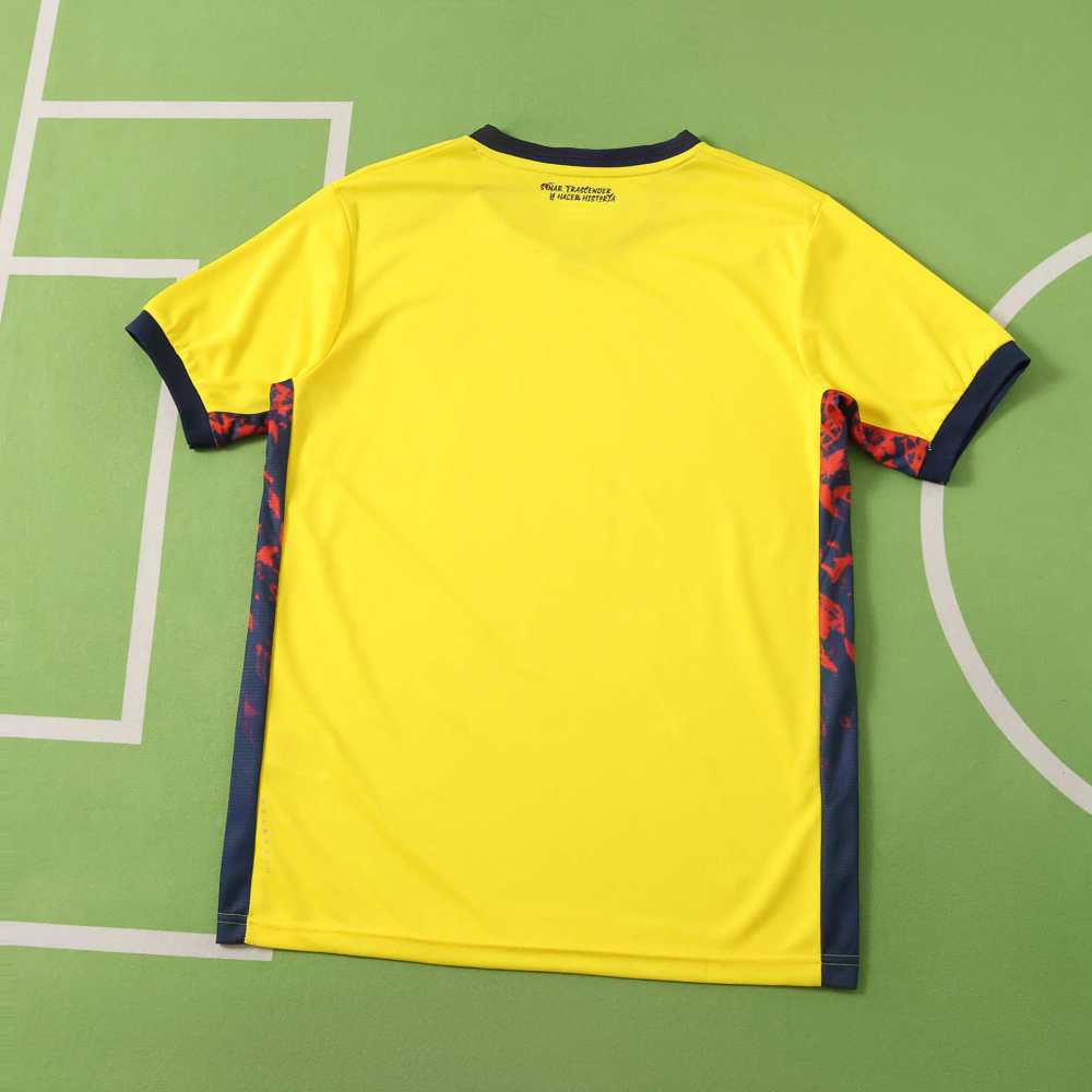 2026 FIFA World Cup Ecuador home Fan version
