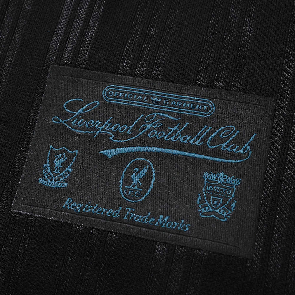 1995 season Liverpool F.C. Concept version Fan version