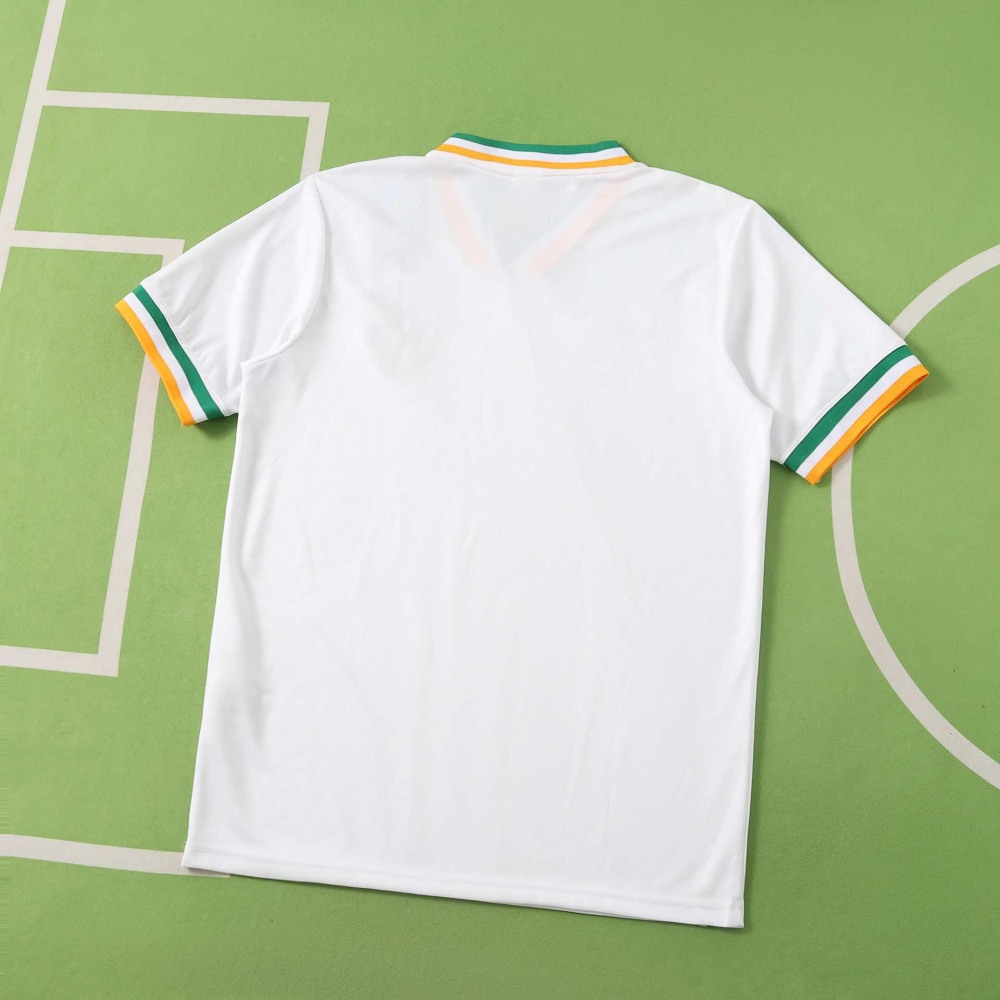 2026 FIFA World Cup Ireland Concept version  Fan version