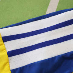 2026 FIFA World Cup Sweden home Player version