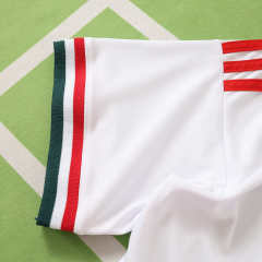 2026 FIFA World Cup Hungary away Fan version