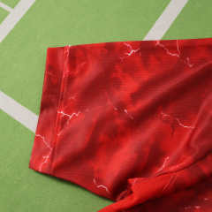 2026 Poland away Fan version