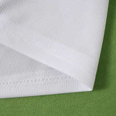 2026 Poland home Fan version