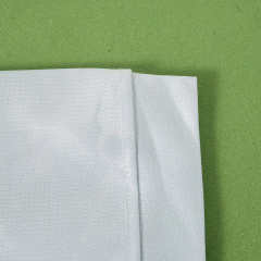 2026 Poland home Fan version