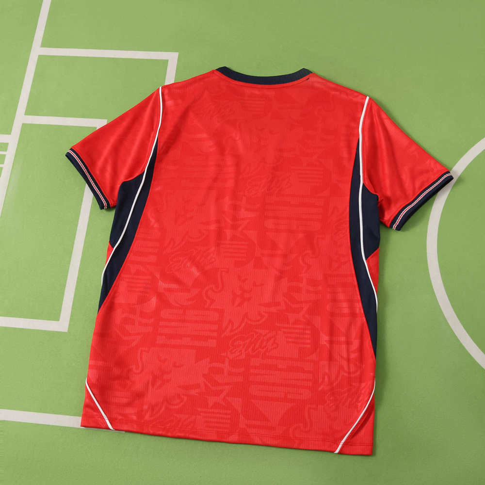 2026 FIFA World Cup Argentina away Fan version
