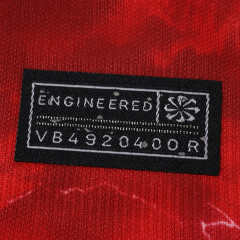 2026 Poland away Fan version