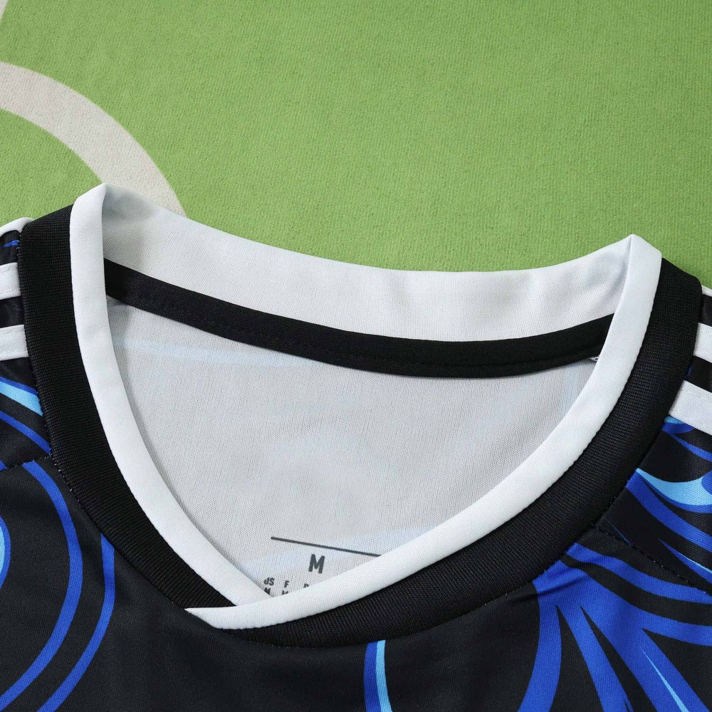2026 FIFA World Cup Argentina away Long sleeved Fan version