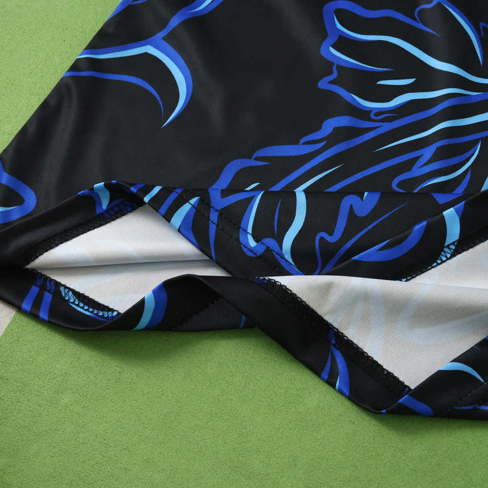 2026 FIFA World Cup Argentina away Long sleeved Fan version