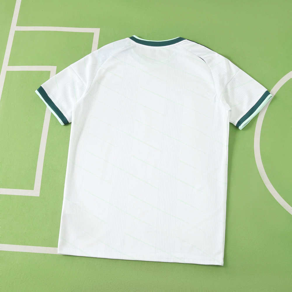 2026 Northern Ireland away Fan version
