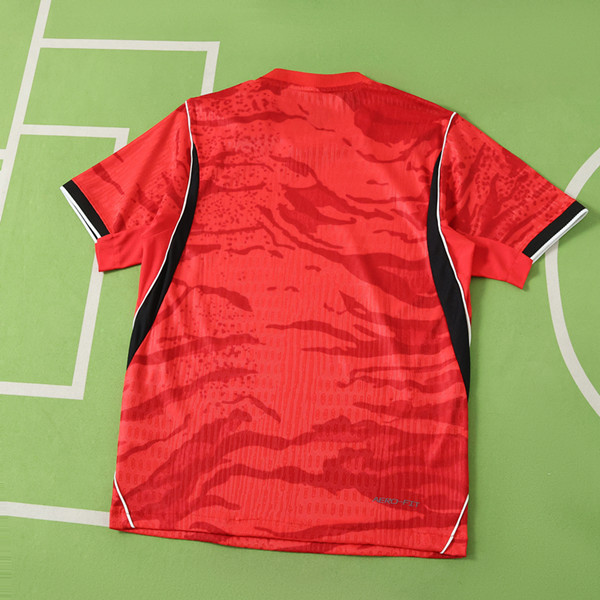 2026 FIFA World Cup South Korea home Player version