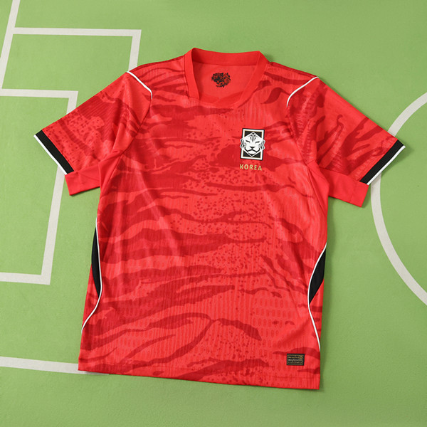 2026 FIFA World Cup South Korea home Player version