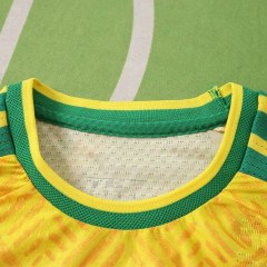 2026 FIFA World Cup South Africa home Player version