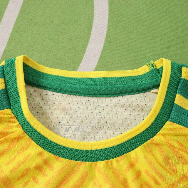 2026 FIFA World Cup South Africa home Player version