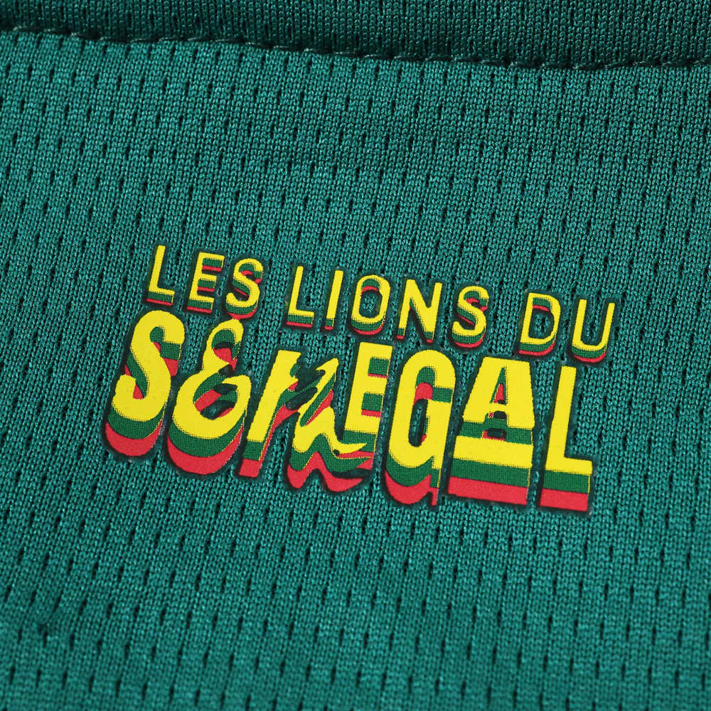 2026 FIFA World Cup Senegal home Kids kit