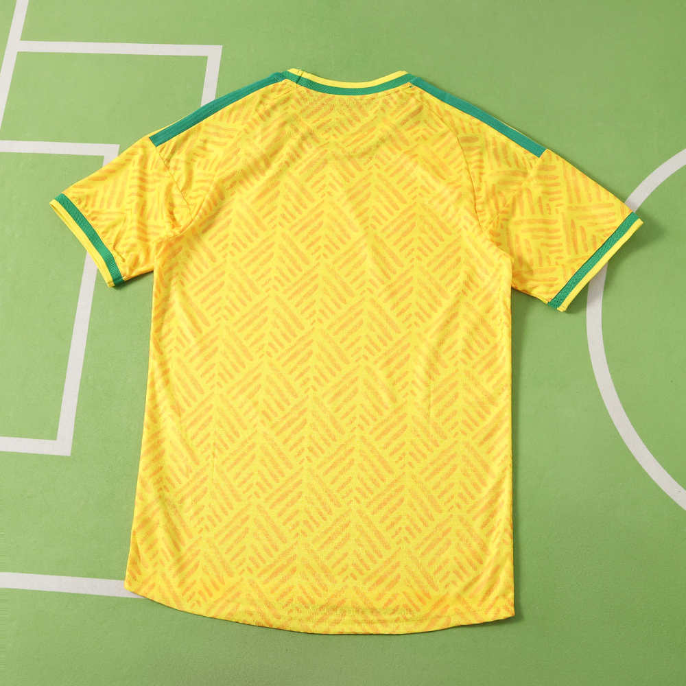 2026 FIFA World Cup South Africa home Player version