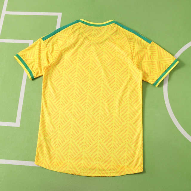 2026 FIFA World Cup South Africa home Player version