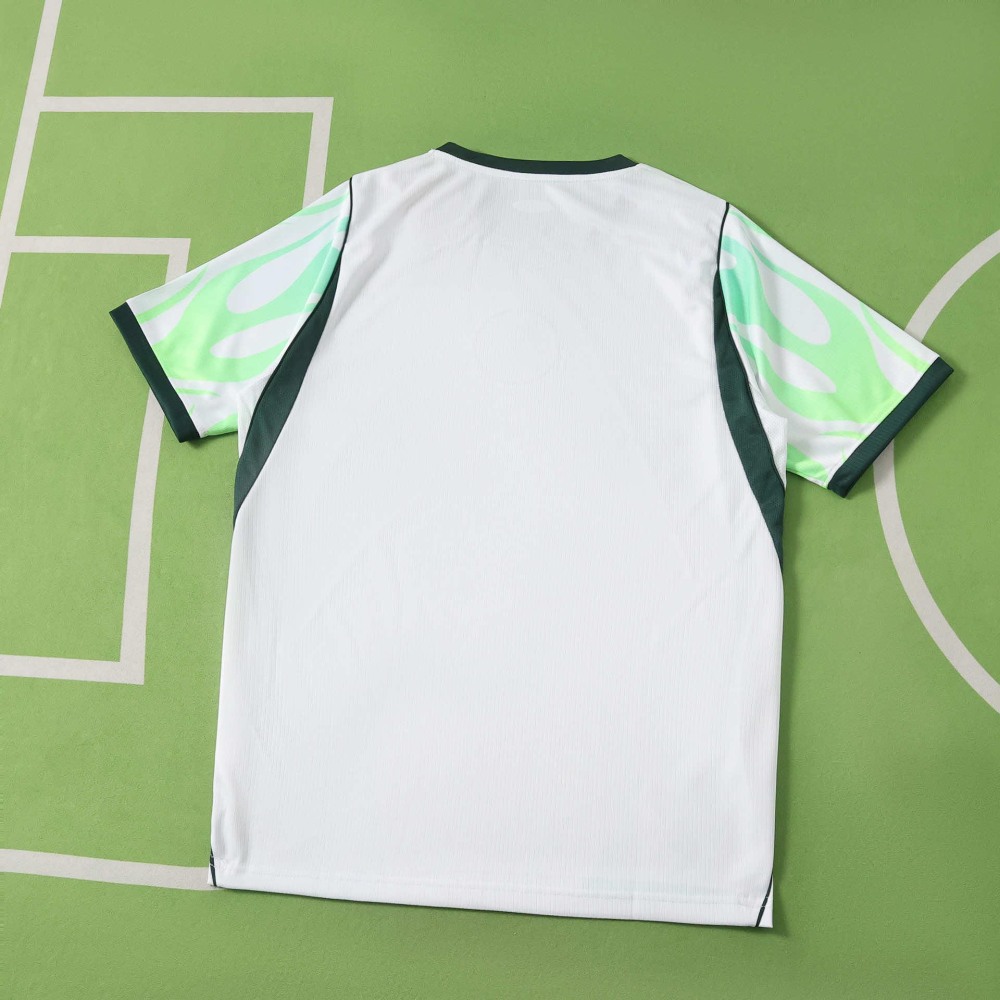 2026 Nigeria away Fan version